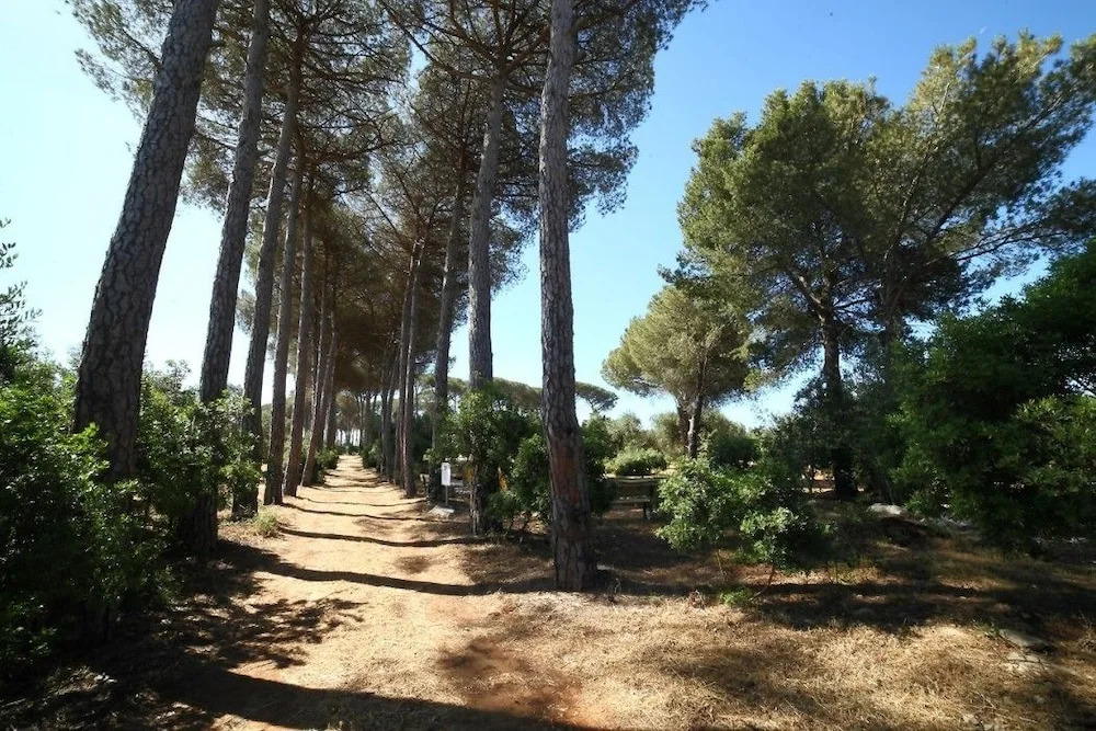 Masseria Gialli
