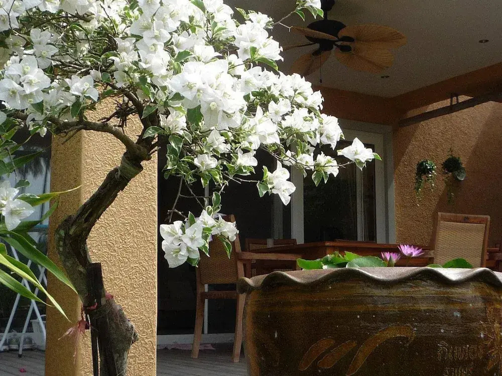 Villa Banromyen Siamroyalview 70mtrs to Beach