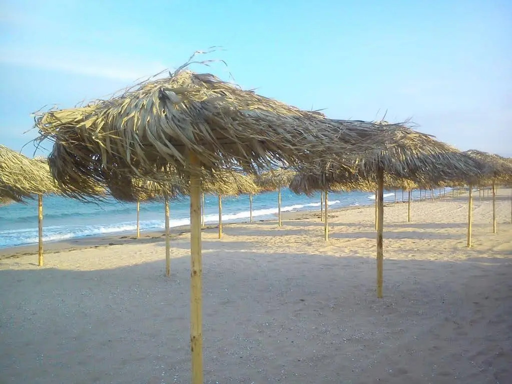 Guest House Savovi