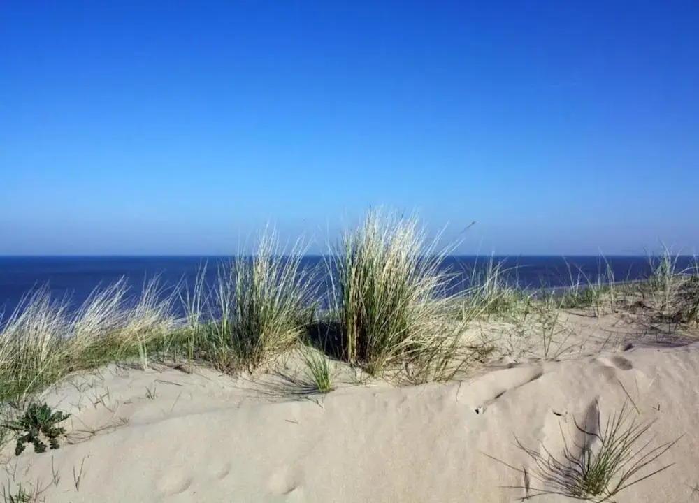 Nice House with Large Garden in Noordwijk & near Sea