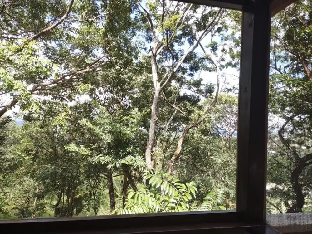 Santa Cruz Cabins