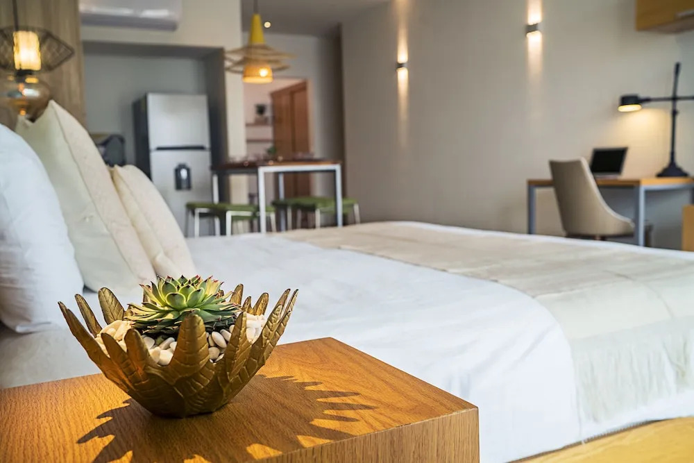 Opal Apt. 201 Amazing Brand new Apartment With Gorgeous Roof top