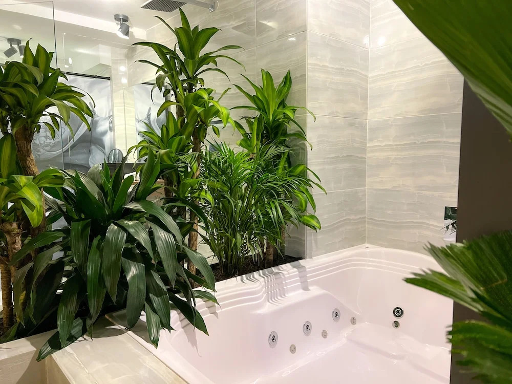 Mystic Luxury Lofts