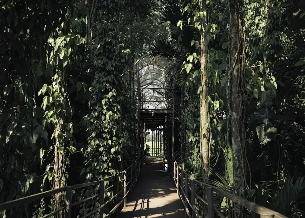 Irroi Kaziranga