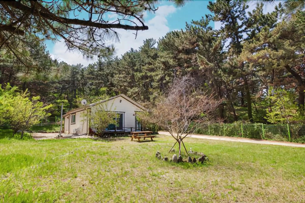 Pohang Wonine House Pension
