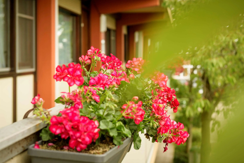 Campanile Hotel & Restaurant Arnhem - Zevenaar