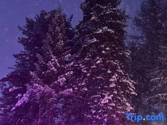 Li San Homestay (Snow Town Scenic Area)