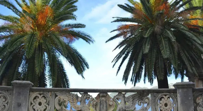 Apartment Renata