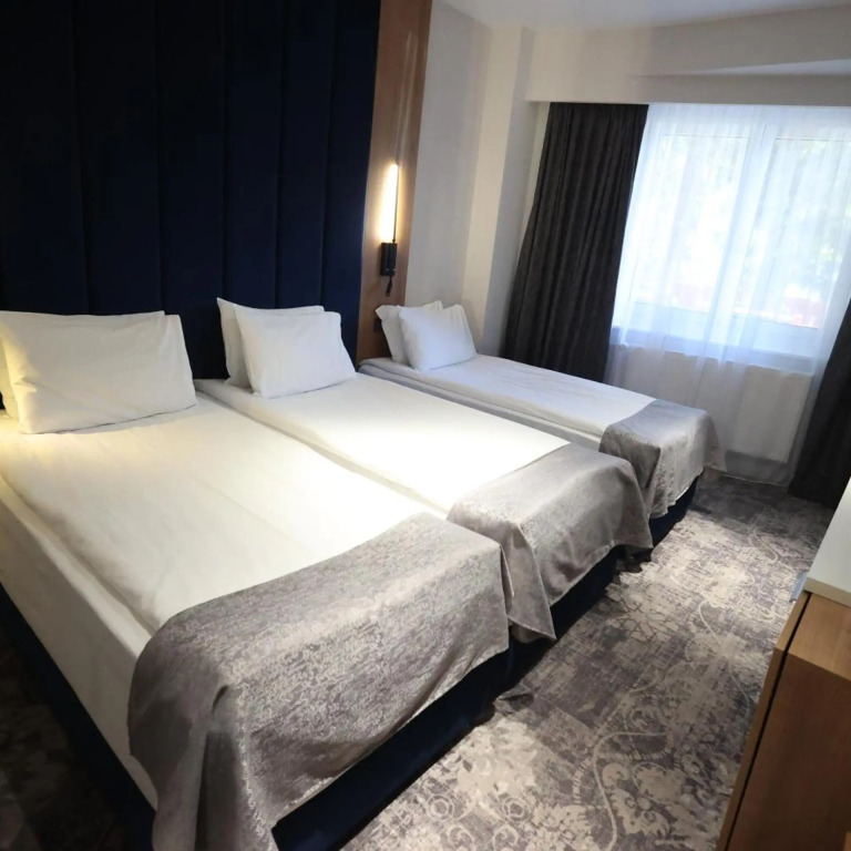 Hotel Soimul