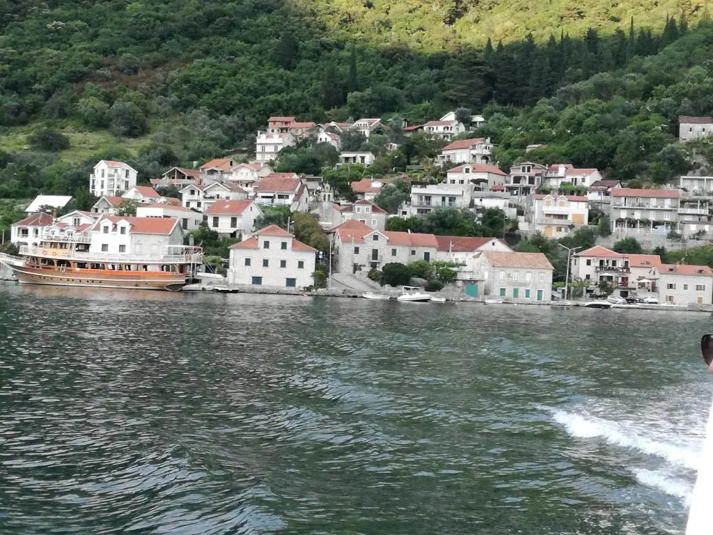 Apartman Irena