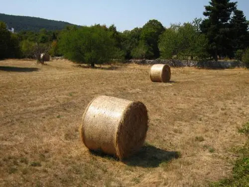 Štirenca