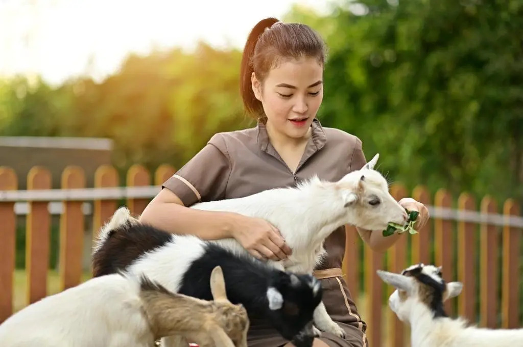 Moose Hotel Chiangmai