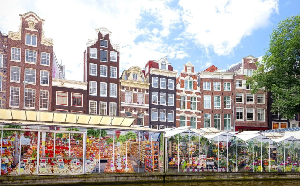 World Fashion Apartments