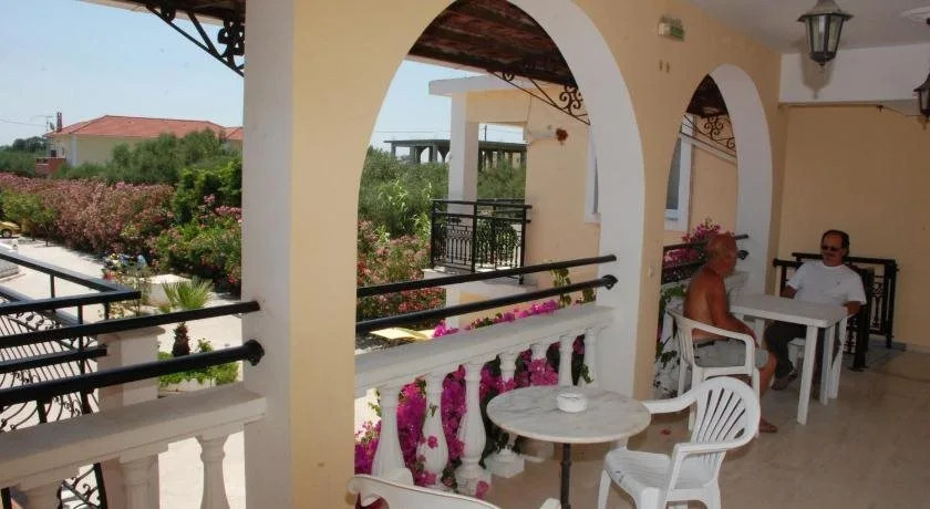 Zante 523