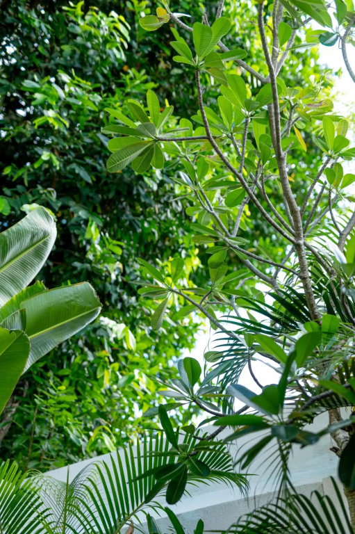 Villa Ibu Dua - cute 1BR Seminyak gem in great location