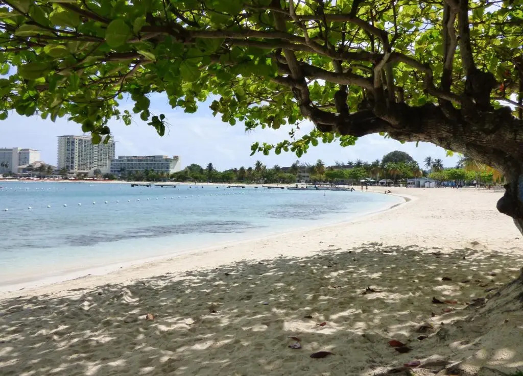 Beach One Bedroom Suite C5
