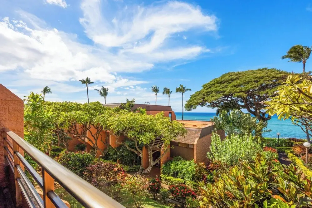 Kuleana Club - 511