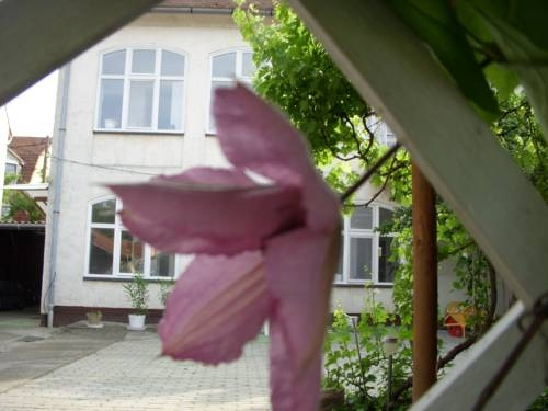 Garden 39 Vendeghaz
