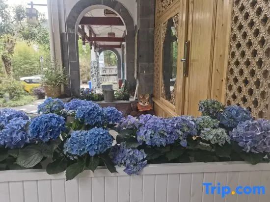 Tengchong Jinshuiwan No.9 B&B
