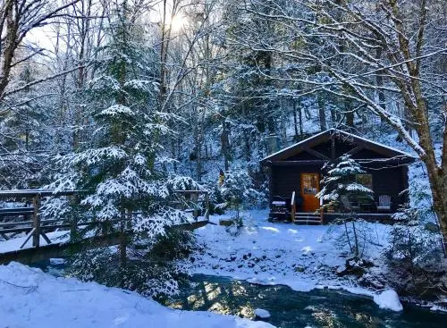Rustic Log Cabins