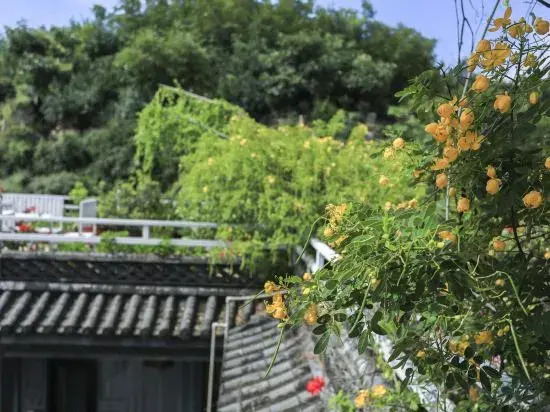 Dali Xubao Courtyard (Nanzhao Style Island Shuanglang Ancient Town Scenic Spot Store)