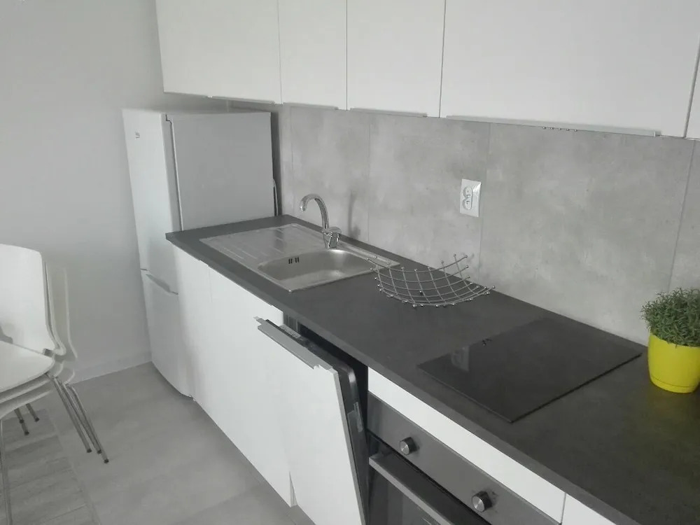 Penguin Apartments City Center Dmowskiego
