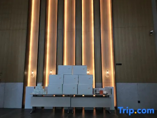 Nanjing Olympic Sports Expo Center UEASY Hotel