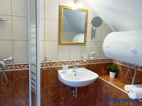 Apartments Sandra in the historical center of the city