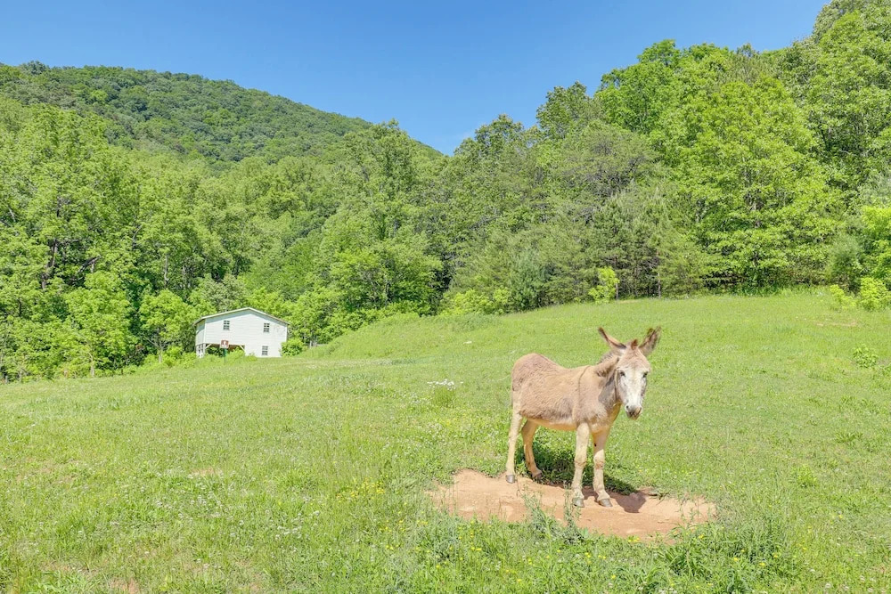 Mtn Views & Epic Sunsets: Private Weaverville Home