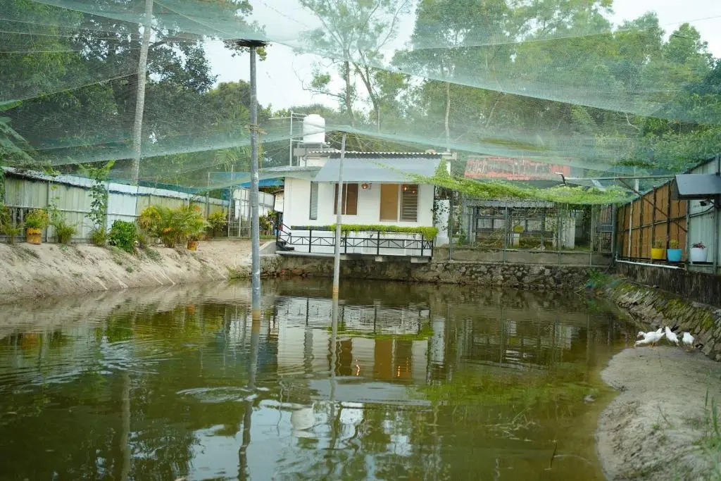 Marari Farm Heritage Inn