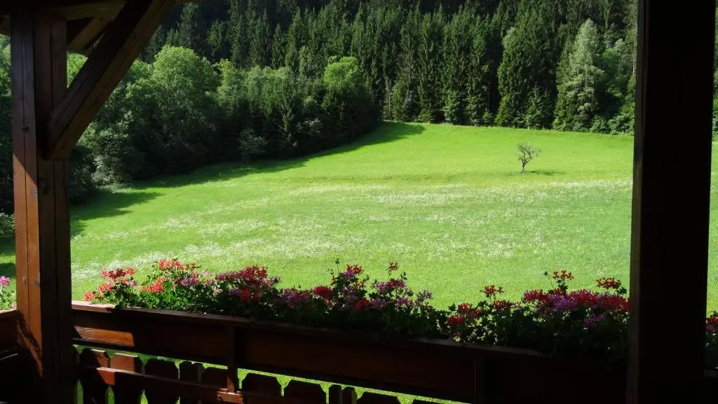 Ferienhaus Enzi