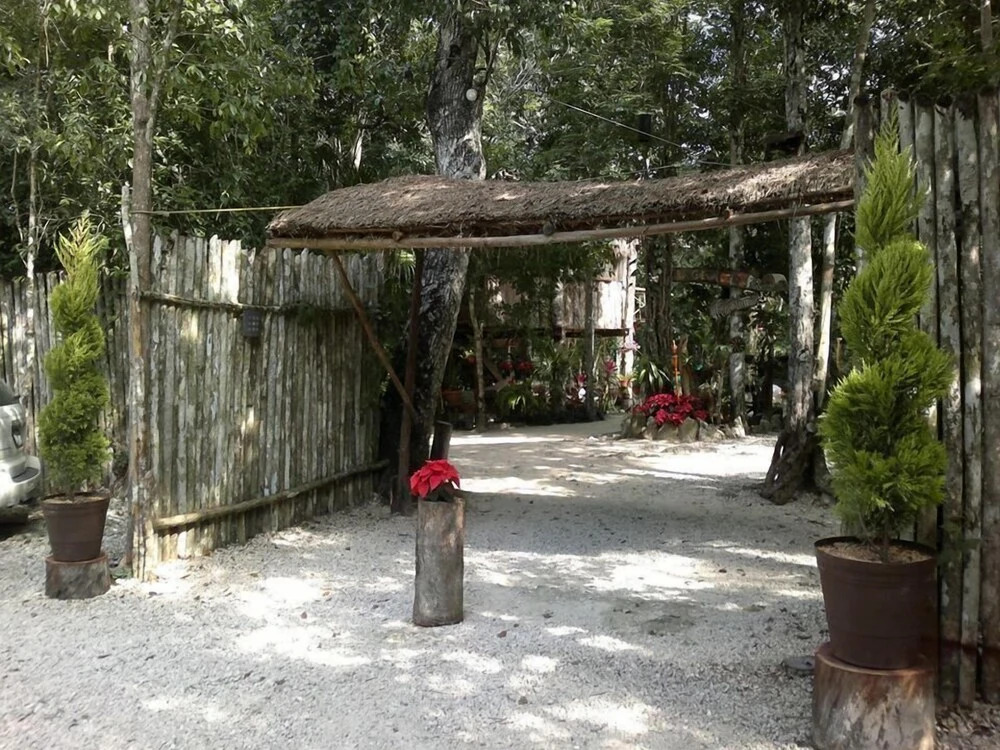 Kiool Eco Hotel & Cenote