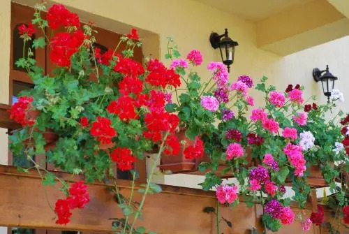 Casa Anca Boutique Hotel