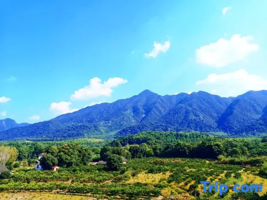 one house one life Homestay