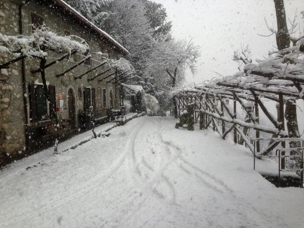 Agriturismo Le Frise