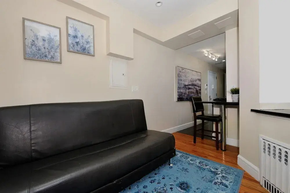 Magnificent 1 Bedroom Apartment In NYC