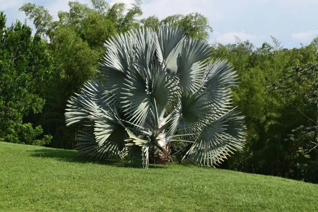 Casa de Campo Santana Campestre Quindio