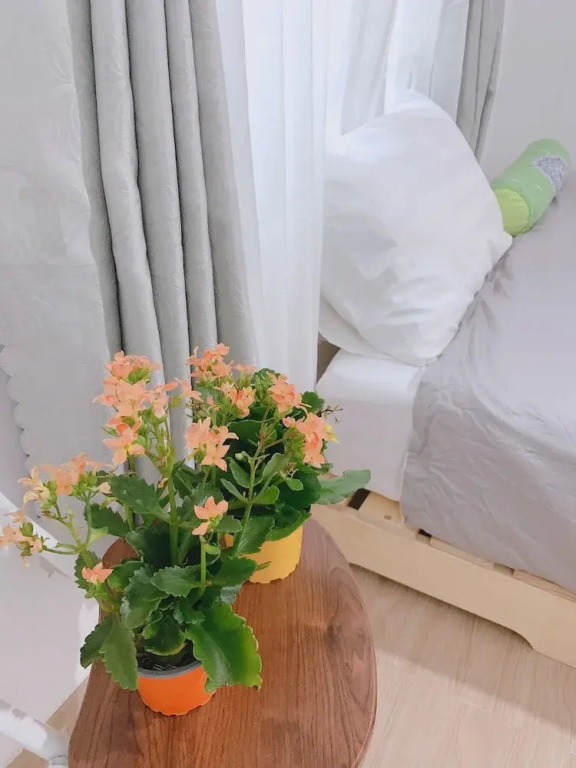 Homestay SUNA Tuy Hòa, Phú Yên