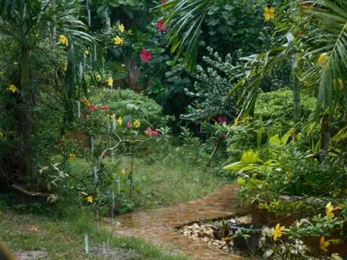 Jungle Flower Guest House