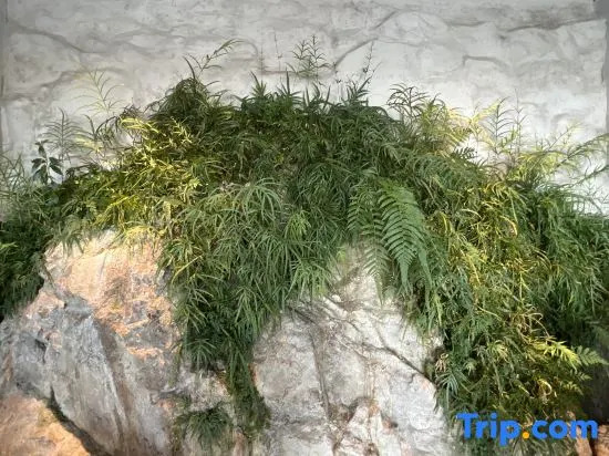 Xiangshan Shipu Enze seascape b&B