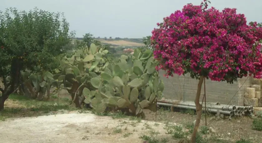 B&B Rosa dei Venti