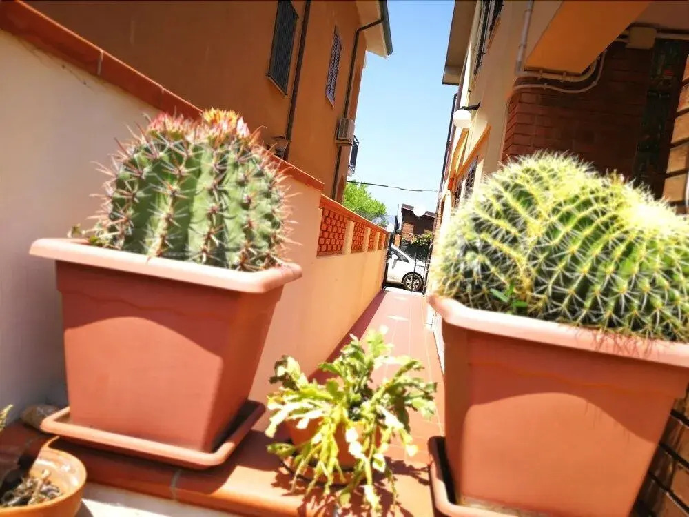Casa vacanze Due Passi e Il Mare