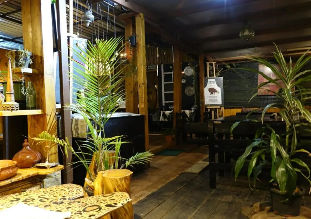 De Rock Jungle Living Resort