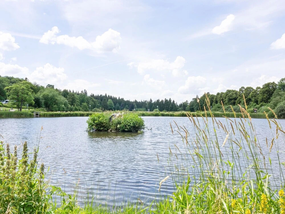 Waterfront Apartment With Swimming Pool in Hahnenklee in the Harz