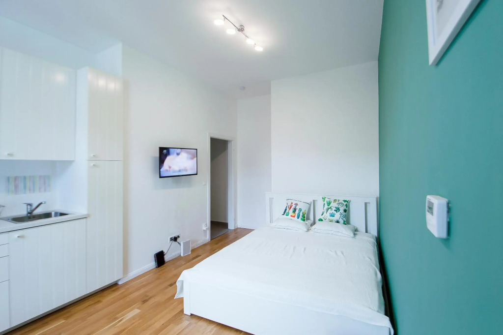 Modern apartment Spanelska