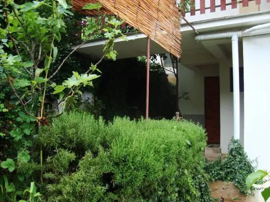 Sonce Guest House