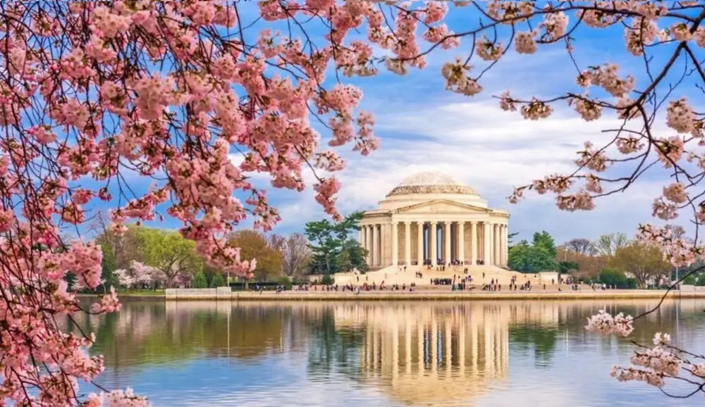 Lovely Washington DC Dupont Circle 2 Bedroom 2 Bathroom Apartment 4 Guests