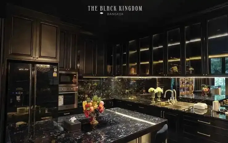 The Black Kingdom - เดอะ แบล็ค คิงดอม