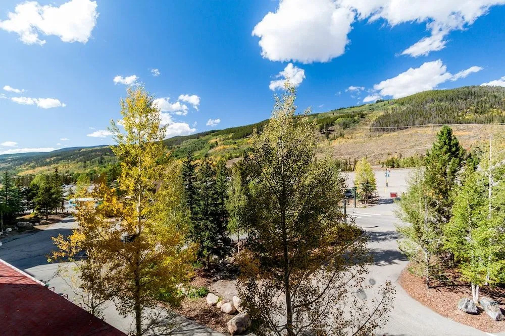 Silver Mill #8222 - 1 Br Condo