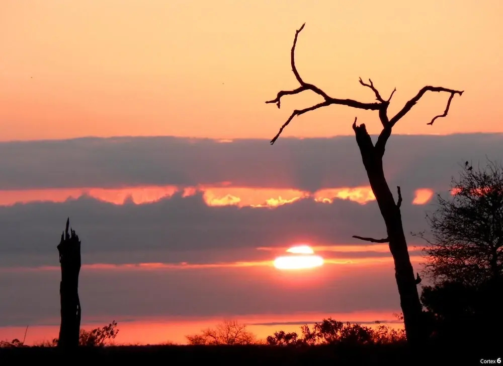 Two Bedroomed Bush-tent on the Klaserie River, With Free Lion Hyena Sounds